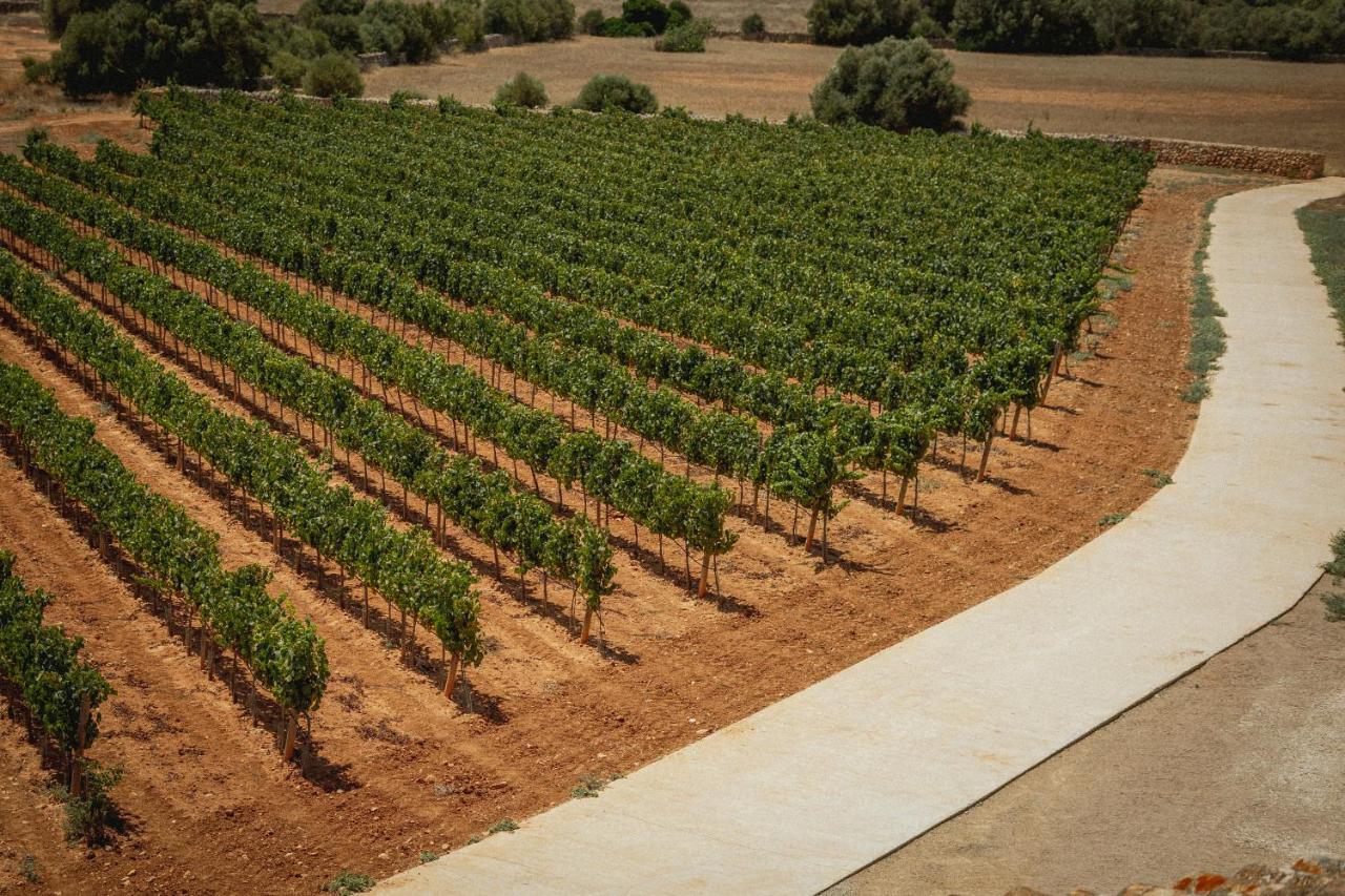 Finca Gomera By Itinerem - Adults Only Llucmajor (Mallorca) Exterior foto